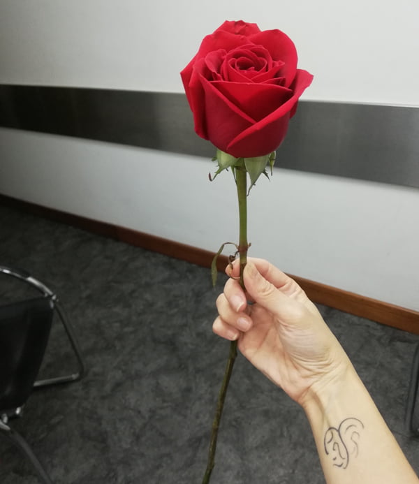 No necesitamos fingir ser otras, ni aspirar juventud eterna